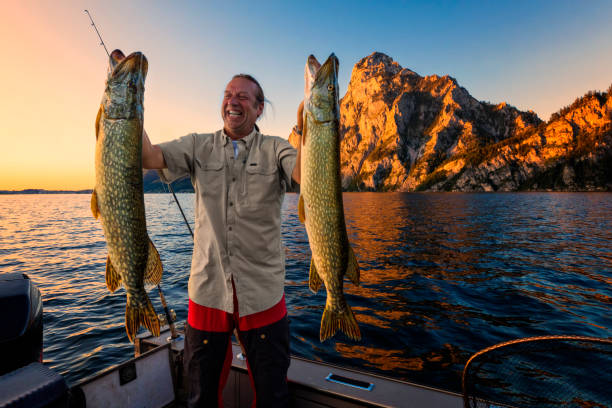 Pike fishing Fortunately sport fisherman with big pike catch of fish stock pictures, royalty-free photos & images