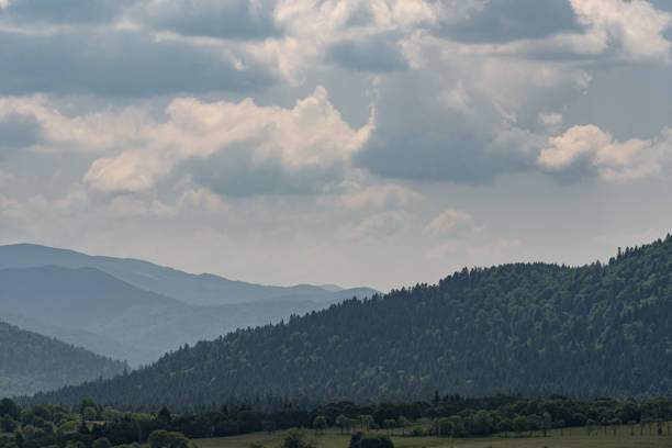 istock Dense forest on a hills in Bieszczady Mountains, Poland. 1159451057
