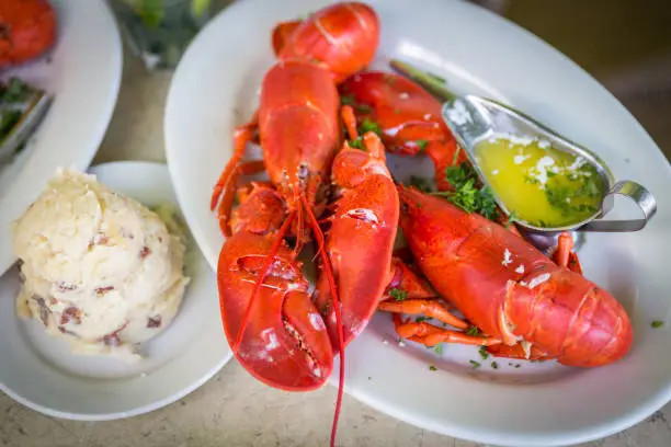 Photo of Lobster dinner with potato salad and butter