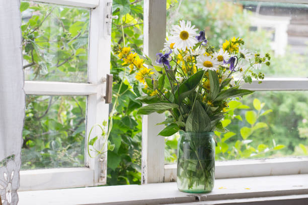 istock Bouquet on windowsill in countryside 1159454008