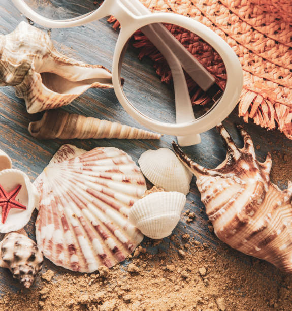 istock beach accessories glasses hat cockleshells on wood deck. 1159455275