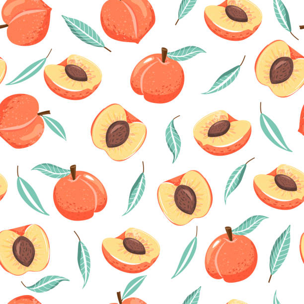 ilustrações, clipart, desenhos animados e ícones de teste padrão sem emenda com pêssego, fatias e folhas do verde. vibrações de verão. - nectarine