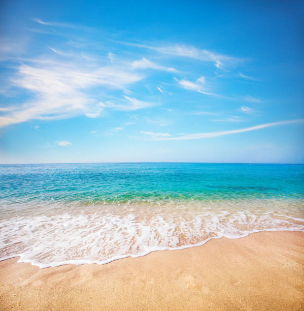 istock sandy beach and tropical sea 1159457352