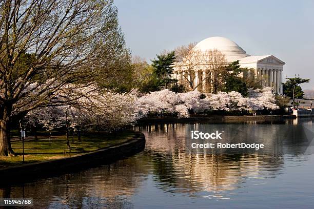 Cerezos En Flor En Washington Dc Foto de stock y más banco de imágenes de Aire libre - Aire libre, Belleza de la naturaleza, Cerezo