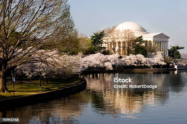 Foto de Cherry Blossoms Em Washington Dc e mais fotos de stock de Atlântico Central EUA - Atlântico Central EUA, Beleza natural - Natureza, Capitais internacionais
