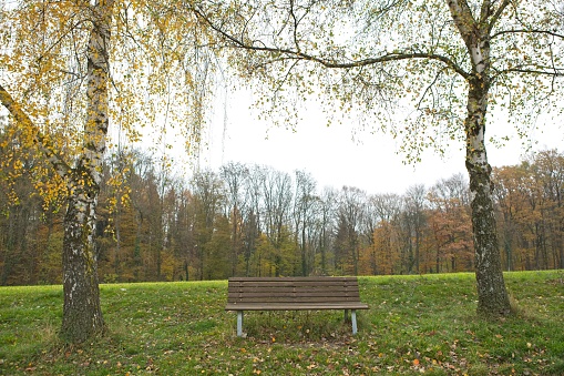 Autumnal sunset at the lake. Lakeshore with a bench and walkway. Empty bench at the park. Nobody, selective focus