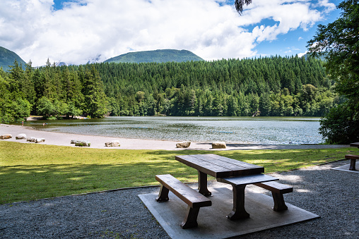 Empty picnic table near the forested shore of a mountain lake on a sunny summer day