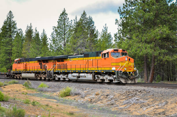 istock Orange powerful diesel locomotives on a railroad through a pine forest 1159462313