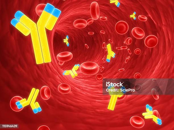 Antibodies Stockfoto en meer beelden van Immunoglobuline - Immunoglobuline, Bacillus subtilis, Bacterie