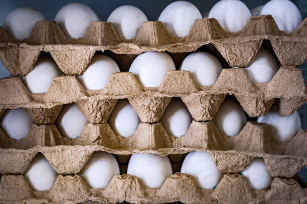 istock chicken eggs in cardboard trays close-up 1159464623