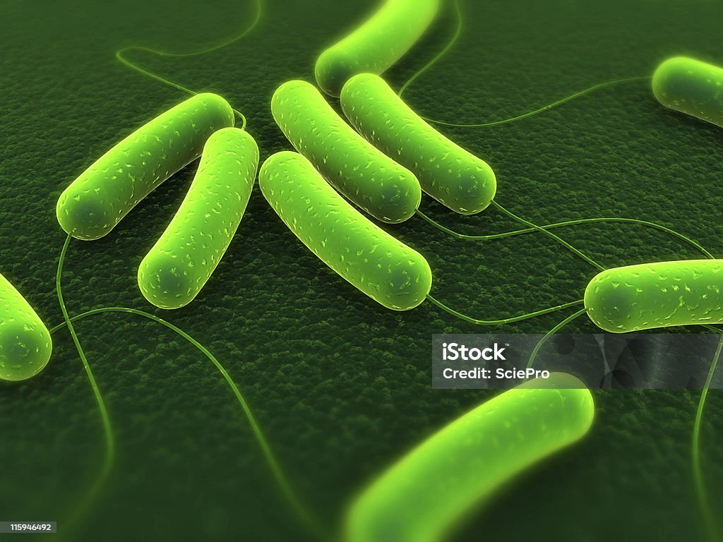coli バクテリア - 3Dのロイヤリティフリーストックフォト