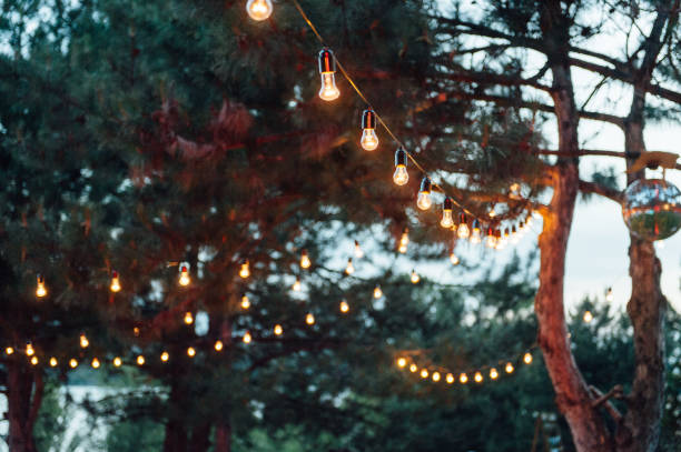 decoración de bombilla en fiesta al aire libre, fiesta de bodas - fiesta en el jardín fotografías e imágenes de stock