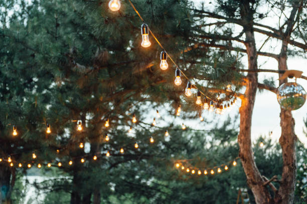istock Light bulb decor in outdoor party, Wedding party 1159466207