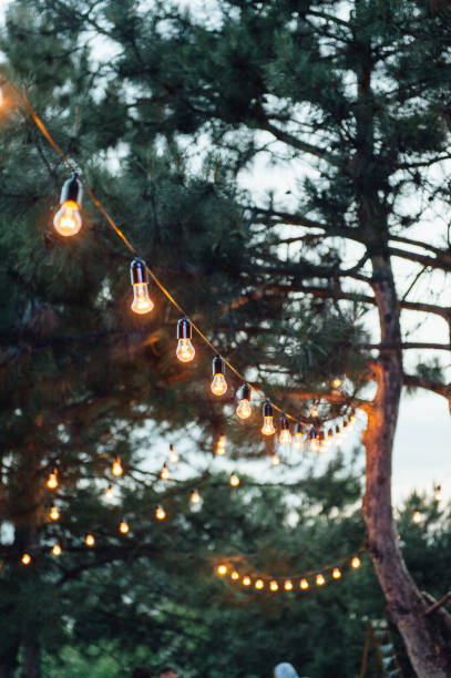 istock Light bulb decor in outdoor party, Wedding party 1159466215