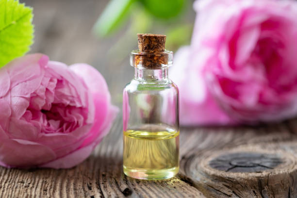 istock A bottle of rose essential oil with cabbage roses 1159467212