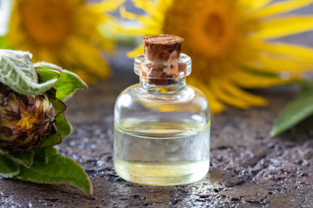 istock A bottle of elecampane essential oil with fresh Inula helenium flowers 1159467247