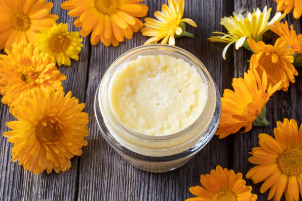 A jar of homemade ointment made from shea butter and calendula flowers A jar of homemade ointment made from shea butter and fresh calendula flowers field marigold stock pictures, royalty-free photos & images