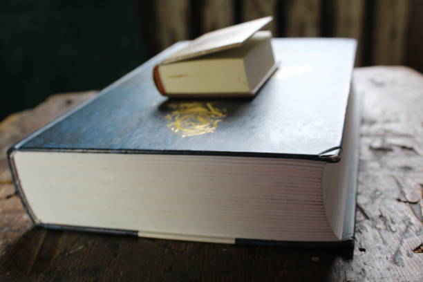 istock photo big book and small close-up 1159470860