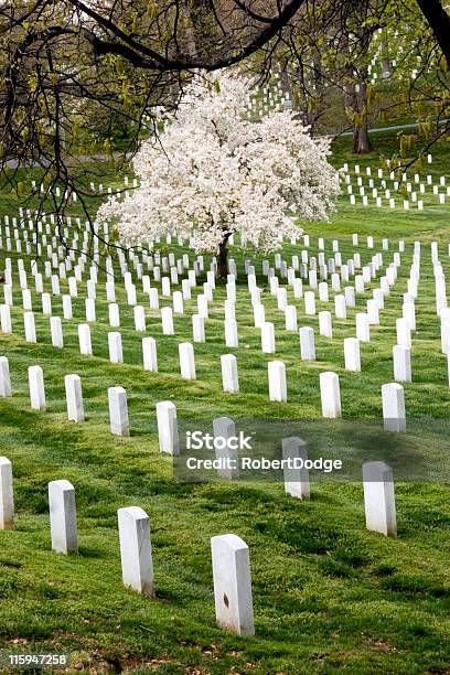 アーリントン国立墓地 - カラー画像のストックフォトや画像を多数ご用意 - カラー画像, ベトナム戦争, 写真