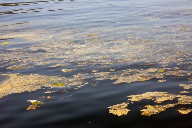 Dirty and polluted water surface