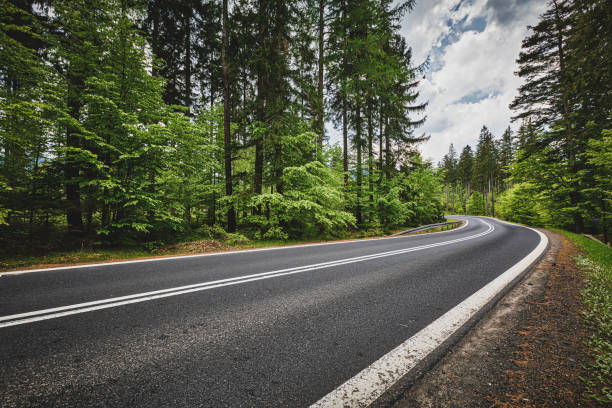 panoramic mountain road (HDRi) winding road in a green forest in the Karkonosze (Krkonoše) Mountains (Giant Mountains) evergreen tree photos stock pictures, royalty-free photos & images