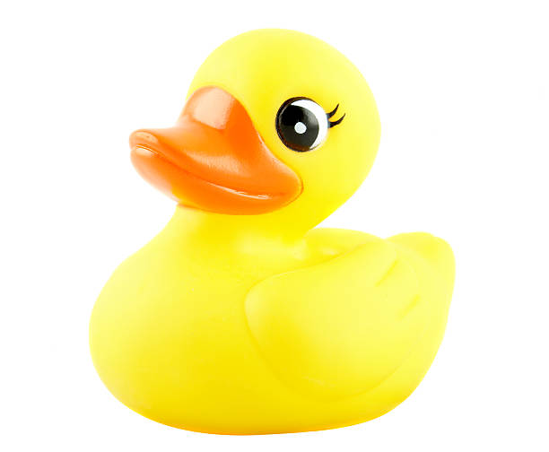 istock Cute rubber duckie for children 115947715