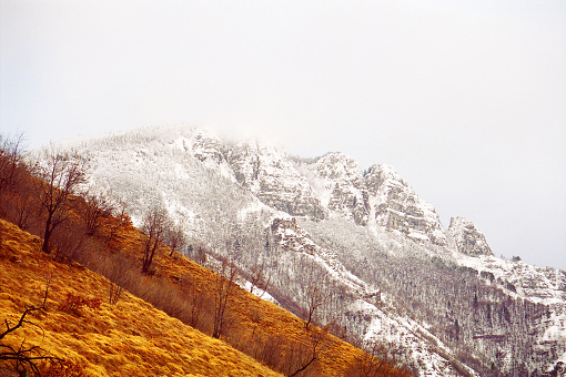 snow and orange fields in the Pau montain