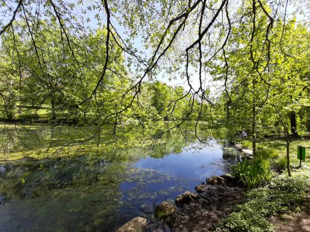 istock Central Park lake surrounded by nature on a bright day 1159480455