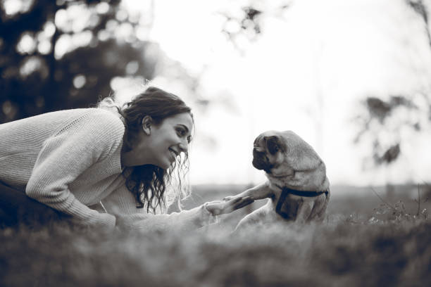 Young female, with curly hair, hugging her dog, pug, in a public park, on a sunny autumn day. Black and white photo.