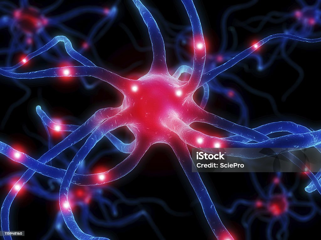 neurone activo - Foto de stock de Anatomía libre de derechos