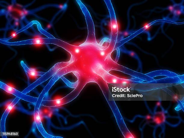 활동적임 Neurone 3차원 형태에 대한 스톡 사진 및 기타 이미지 - 3차원 형태, 가지돌기, 건강관리와 의술