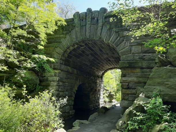 istock Picture of an old bridge in Central Park 1159483155