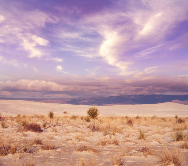 istock Beautiful sunset at White Sands National Monument 1159484154