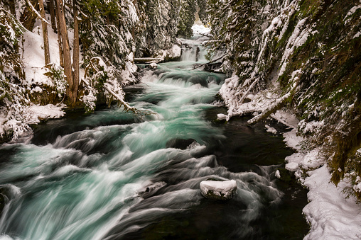 Backcountry skier climbing snow covered mountain through forest