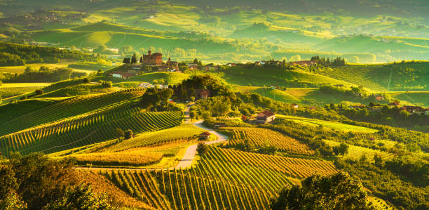 Langhe vineyards sunset panorama, Grinzane Covour, Piedmont, Italy Europe. Langhe vineyards sunset panorama, Grinzane Cavour, Unesco Site, Piedmont, Northern Italy Europe. alba italy photos stock pictures, royalty-free photos & images