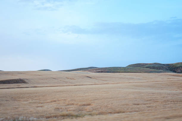 istock Golden hay bales in countryside 1159488495