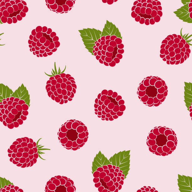 ilustrações de stock, clip art, desenhos animados e ícones de seamless pattern - ripe red raspberries - framboesa