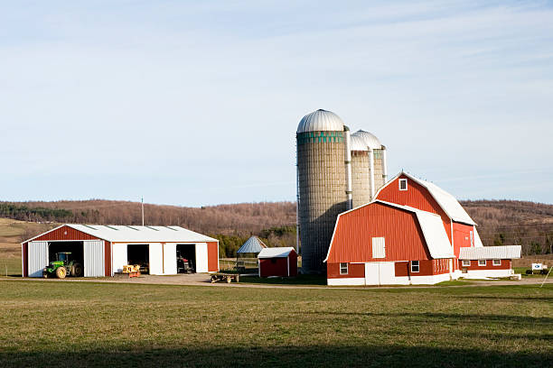 istock Dairy Farm in New York State 115949476