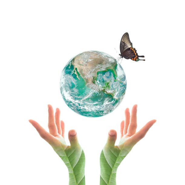 istock World environment day and ecological friendly concept with green planet on hands with tree leaves: Elements of this image furnished by NASA 1159495089