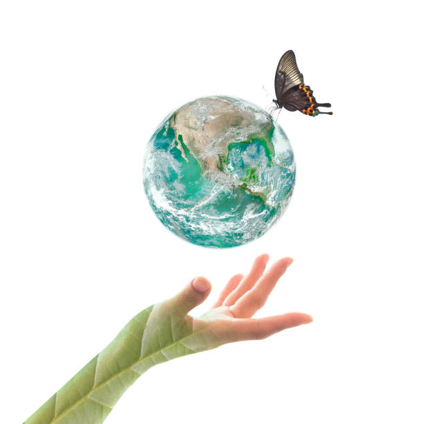 istock World environment day and ecological friendly concept with green planet on hands with tree leaves: Elements of this image furnished by NASA 1159495090