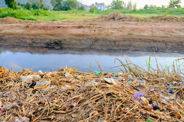 istock Garbage waste is dumped along the canal. The waste water is dirty with black. 1159501112