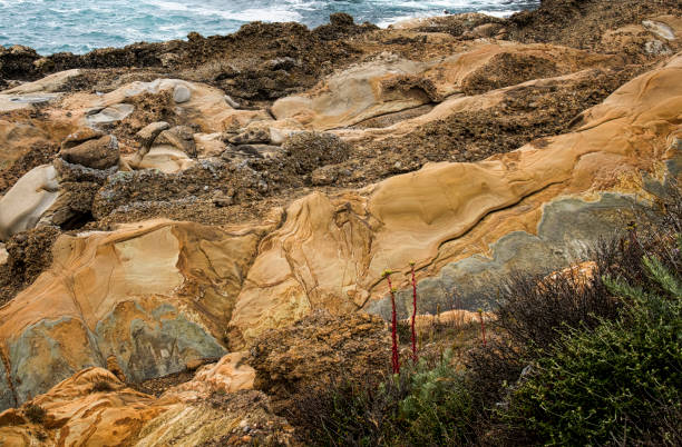 istock Coastal Seascape with Textures in Rock Layers 1159501300