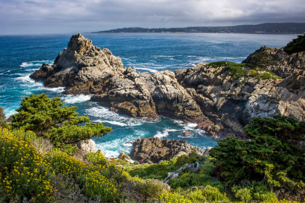 Rocky coastline off California coast with spring flowers and blue ocean.