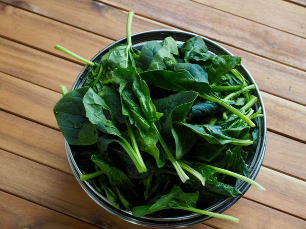 istock Korean Fresh organic vegetable spinach 1159502083