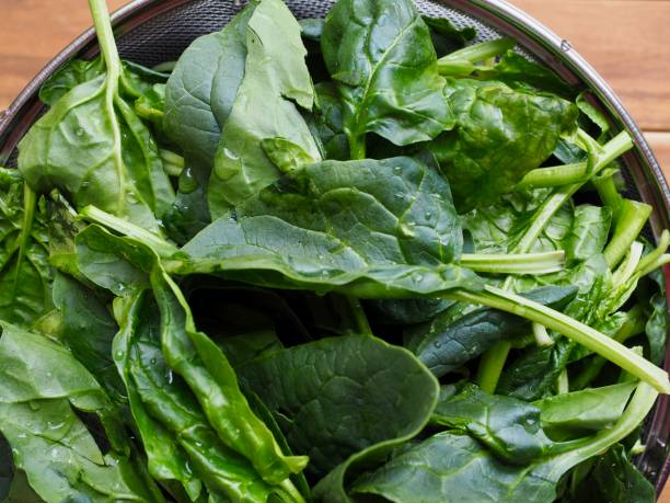 istock Korean Fresh organic vegetable spinach 1159502097