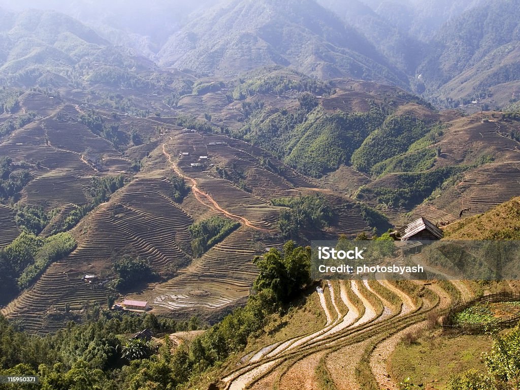넘실대는 언덕으로 이루어진 쌀 테라스에서 멋진 풍경을 Sapa, 베트남 하이랜드 - 로열티 프리 0명 스톡 사진
