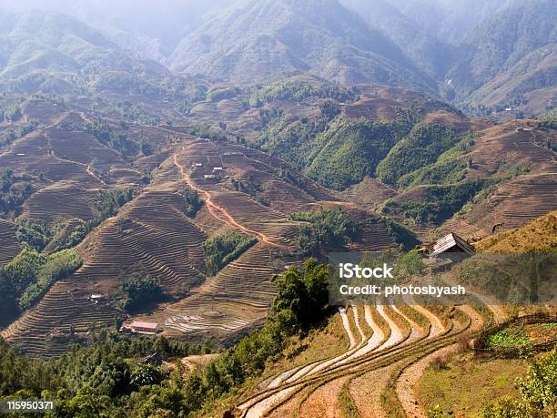 넘실대는 언덕으로 이루어진 쌀 테라스에서 멋진 풍경을 Sapa 베트남 하이랜드 0명에 대한 스톡 사진 및 기타 이미지 - 0명, 건물 외관, 건축물