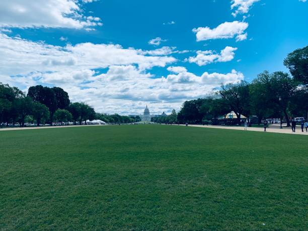 istock Lawn with capitol in background 1159507227