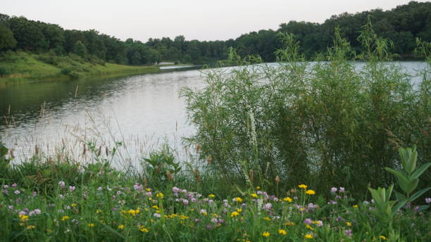 istock Missouri Public Park 1159509952