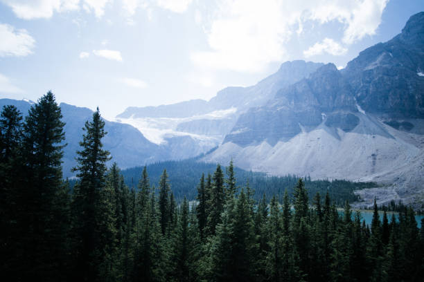 peyto lake in August Canada- Banff